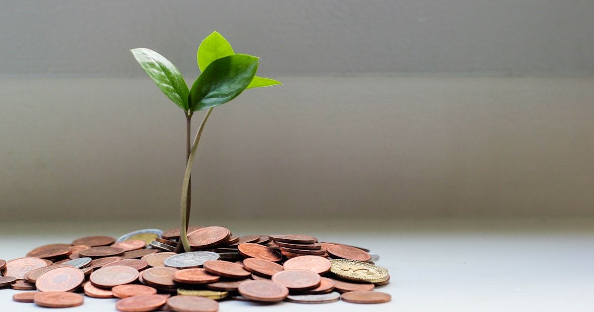 How to Measure ROI on Technology Investments — Custom Software Development article by DSA Software Solutions